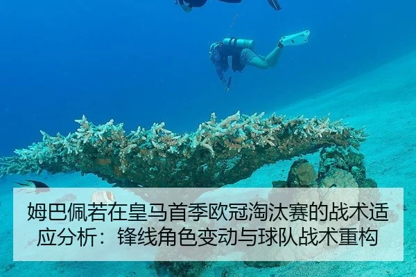 mu-ba-pei-ruo-zai-huang-ma-shou-ji-ou-guan-tao-tai-sai-de-zhan-shu-shi-ying-fen-xi-feng-xian-jue-se-bian-dong-yu-qiu-2-174.jpg