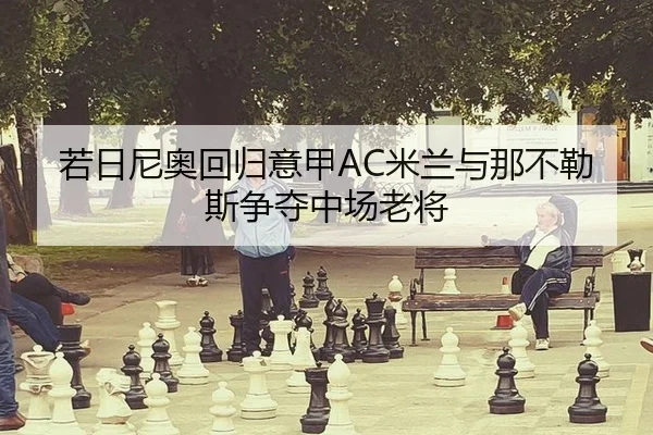 若日尼奥回归意甲AC米兰与那不勒斯争夺中场老将