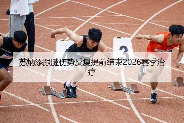苏炳添跟腱伤势反复提前结束2026赛季治疗