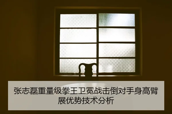 张志磊重量级拳王卫冕战击倒对手身高臂展优势技术分析