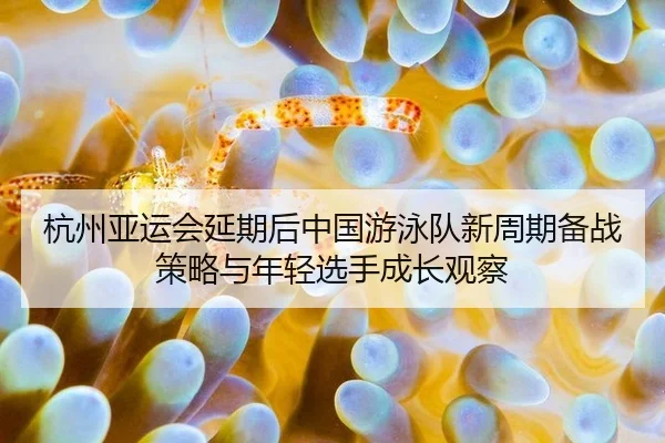 杭州亚运会延期后中国游泳队新周期备战策略与年轻选手成长观察